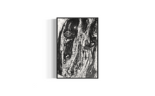 Load image into Gallery viewer, 1
